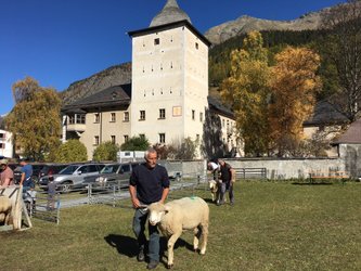 Südbündner Vieh- und Warenmarkt