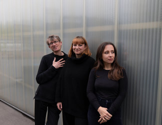 Triodati - La Damoiselle élue