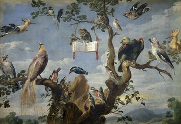 Konzert Vogelmusik