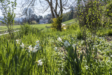 Gartenrundgang