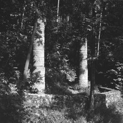 Stadtrundgang Zum Galgen