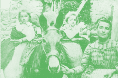Médiathèque Valais – Martigny: Domestiques photogéniques DE