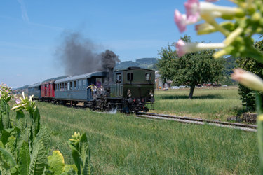 öffentliche Dampffahrten