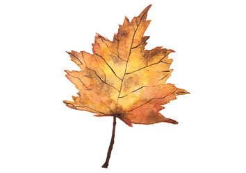 Herbstausflug