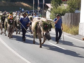 Alpabzug Alp Stätz nach Parpan Alpabzug Alp Stätz nach Parpan