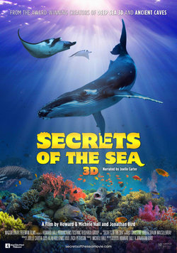 Geheimnisse der Meere – 3D