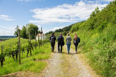 Genusstorkeln - Auf Mäuse-Entdeckungstour – Ein Abenteuer für kleine Entdecker!
