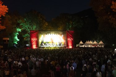 Guinness Irish Festival