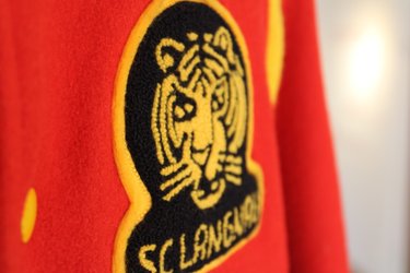 Kulturerbe SCL Tigers