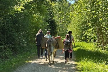 Pony- und Eseltrekking (Kursnr. 2.1e)