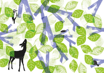 Exposition - Qui vit là ? Le hêtre, un arbre-habitat