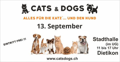 Cats & Dogs – alles für die Katz…. Und den Hund