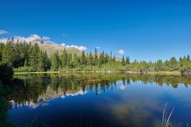 Fotografie-Workshop auf der Alp Flix