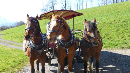 Pferdekutschenfahrt rund um Weggis