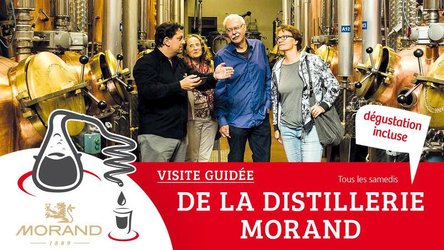Besuch der Destillerie Morand