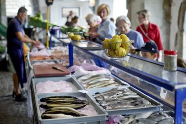 Fischmarkt Luzern