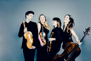 flimsfestival: Barbican Quartett