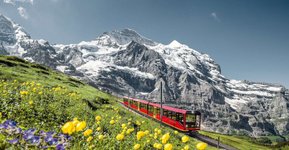 Ab Interlaken: Tagesausflug zum Jungfraujoch mit Bus und Zug