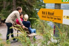 Wald und Wasser © WAG