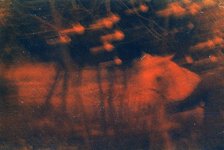 "Olvidamos como contemplar la madre tierra?" (Naara Bahler)