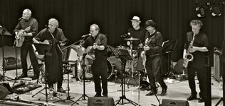 SOMMERKONZERTE - OPENAIR - WHY THE BAND