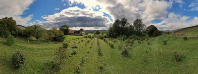 Bonvillars : Truffière didactique (APRTS - Florian Bloesch)