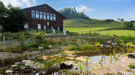Naturgarten