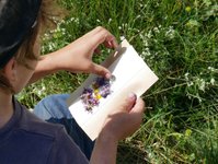 Naturlabor_cr_ProNaturaZentrumAletsch.JPG