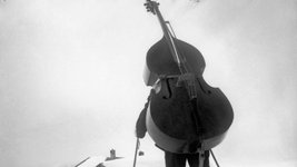 bassgeiger-nr.332-4.jpg