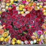 Kreatives Schreiben - Inspiration pur mit Übungen, Tipps und Austausch