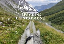 Chevaux