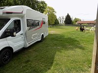 ALPAKAFARM Erlebnis + Komfort Camp