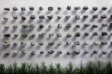 Jamie North «Stone Field 2022»