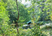 Aire Naturelle- korsische Berge
