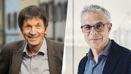 Kultur Frieden fördern web