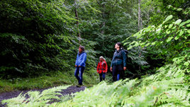 NATUREZIA standbilder aus videos  9