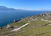 Lavaux im Bus, die Geschichte dazu! Audioguide VMCV 218