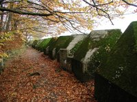 le sentier des Toblerones en automne à Gland