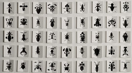 Expo "Loin des yeux" Grange de Nane