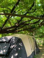 Sotto al vigneto...