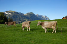 Bezoek aan de boerderij