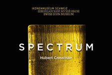 Spectrum web mit Logo