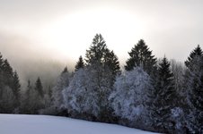 Foresta, Pöschelibock, diavolo della foresta e sacco di foglie