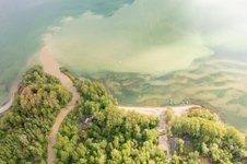 Visite guidée gratuite : La Grande Cariçaie à Yvonand (Swiss-FlySwiss-Fly)