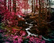 Wald. Pöschelibock, Waldteufel und Laubsack