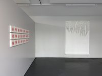 Installation view Sala Capauliana Evelina Cajacob 2025