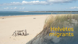Helvètes migrants (Sites et musée romains d'Avenches)