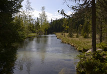 Marais Champex Lac  © Pays du St Bernard (5) (1)