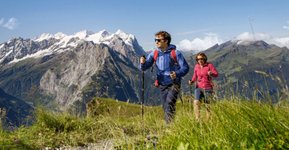 Berner Oberland: Schweizer Halbtax & STS Holder 2nd Class Pass