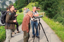 Rehe beobachten ohne sie zu stören